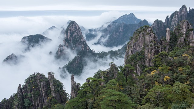 Alyssa Brown tweet media