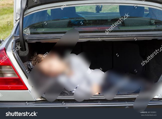 光源氏🇯🇵 tweet media