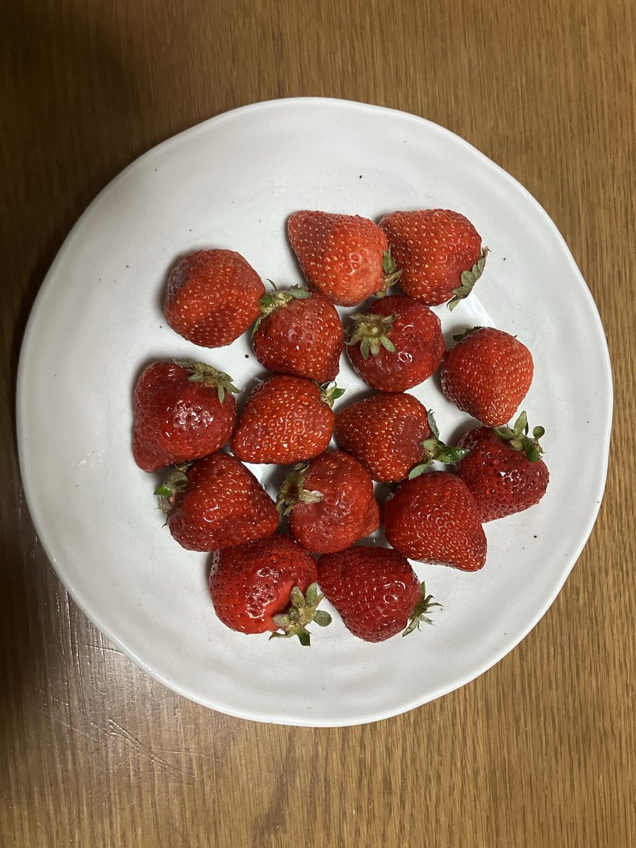 高野豆腐メンタル tweet media