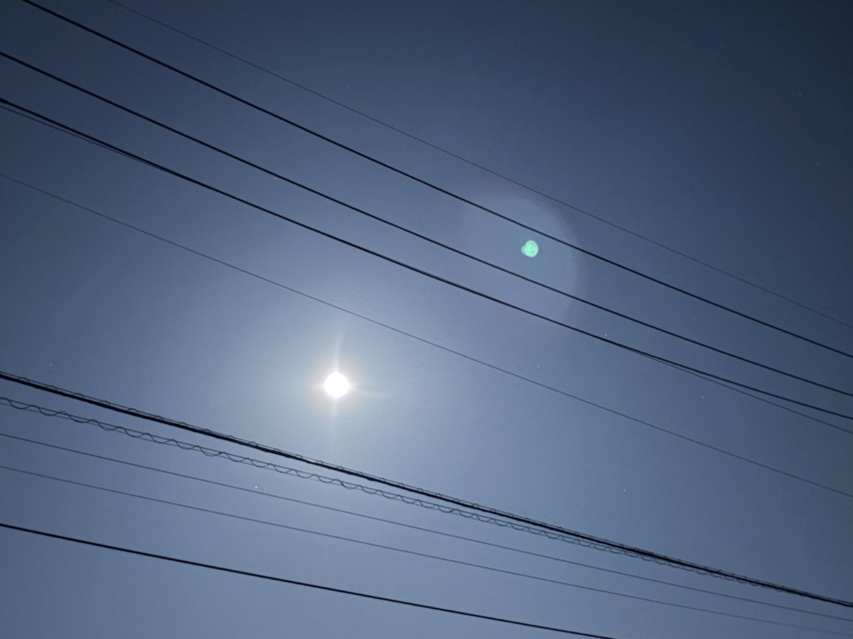 ごーたん tweet media