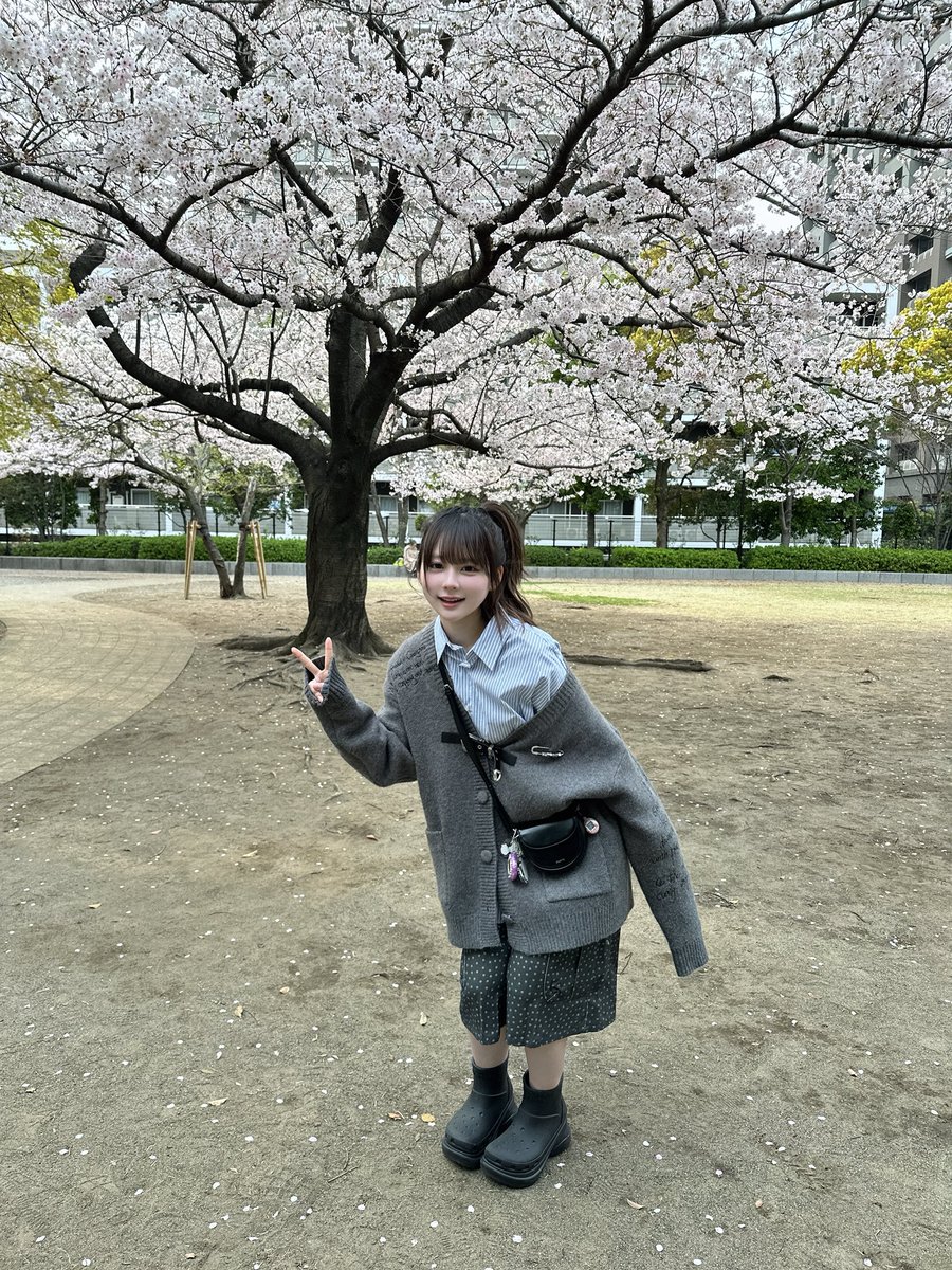 栞麗（しおり） tweet media