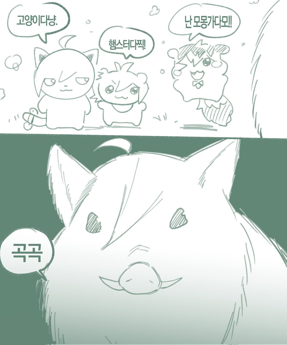 갯강구 tweet media