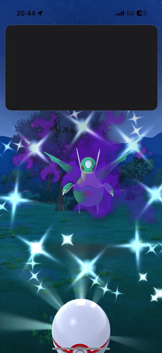 きのぴー tweet media