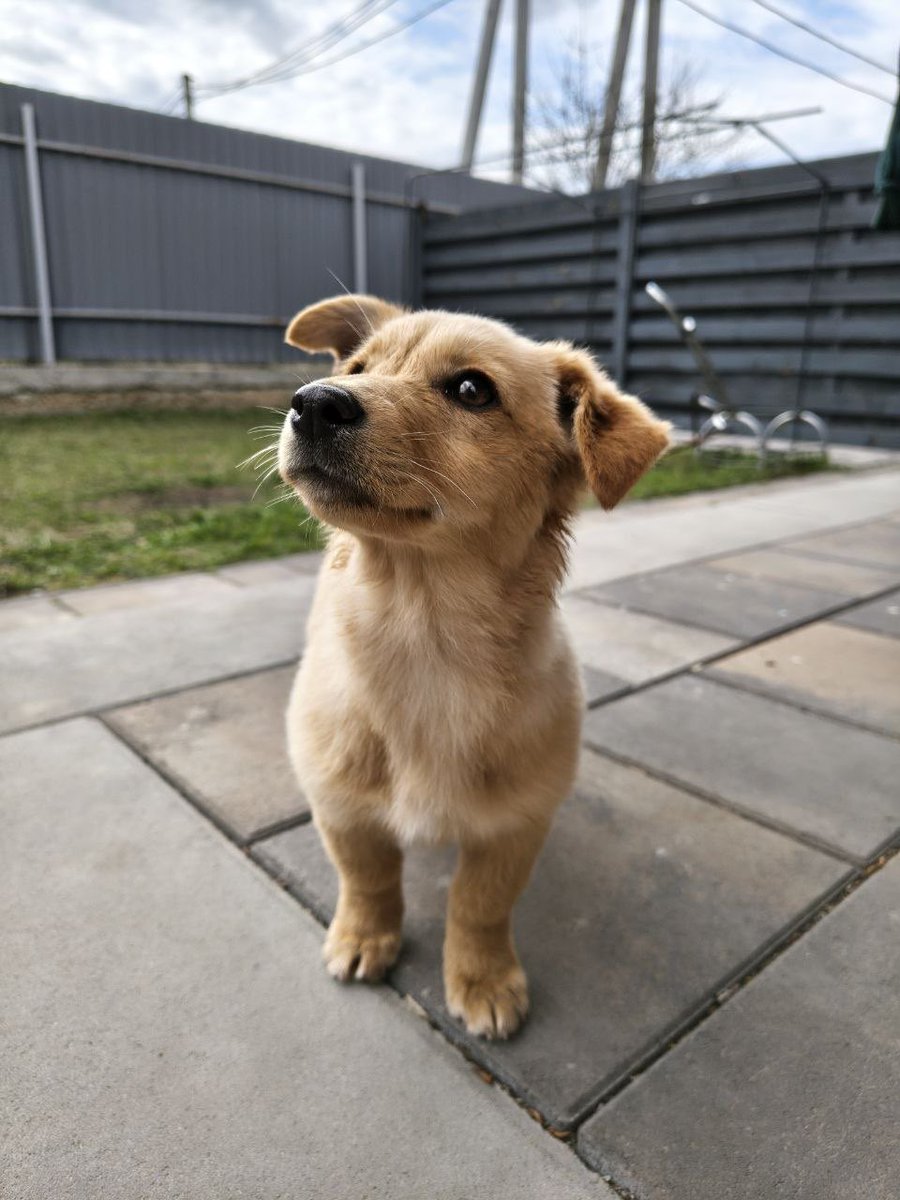 🇺🇦Рибка малює і tweet media