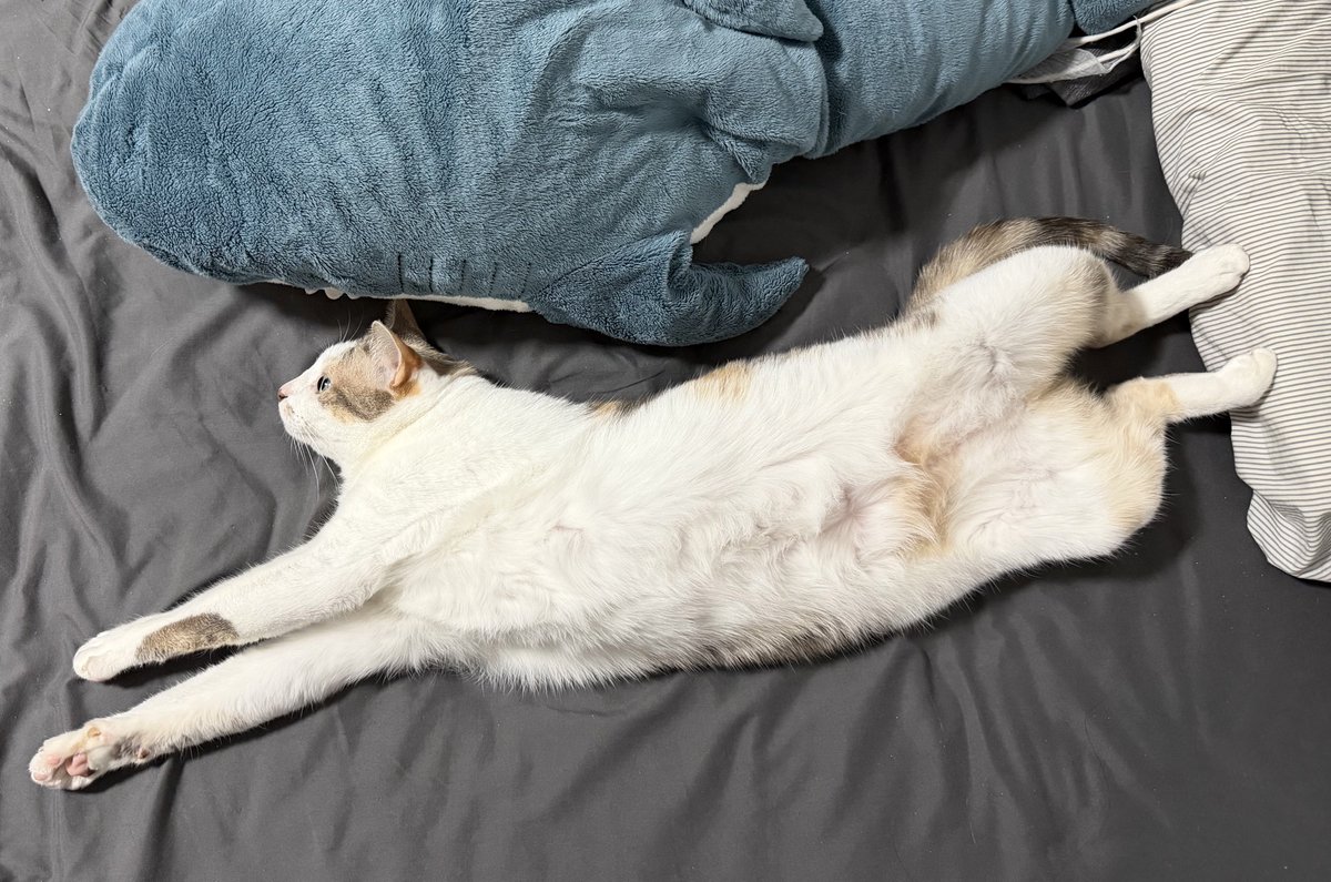 chaom.chaaem tweet media