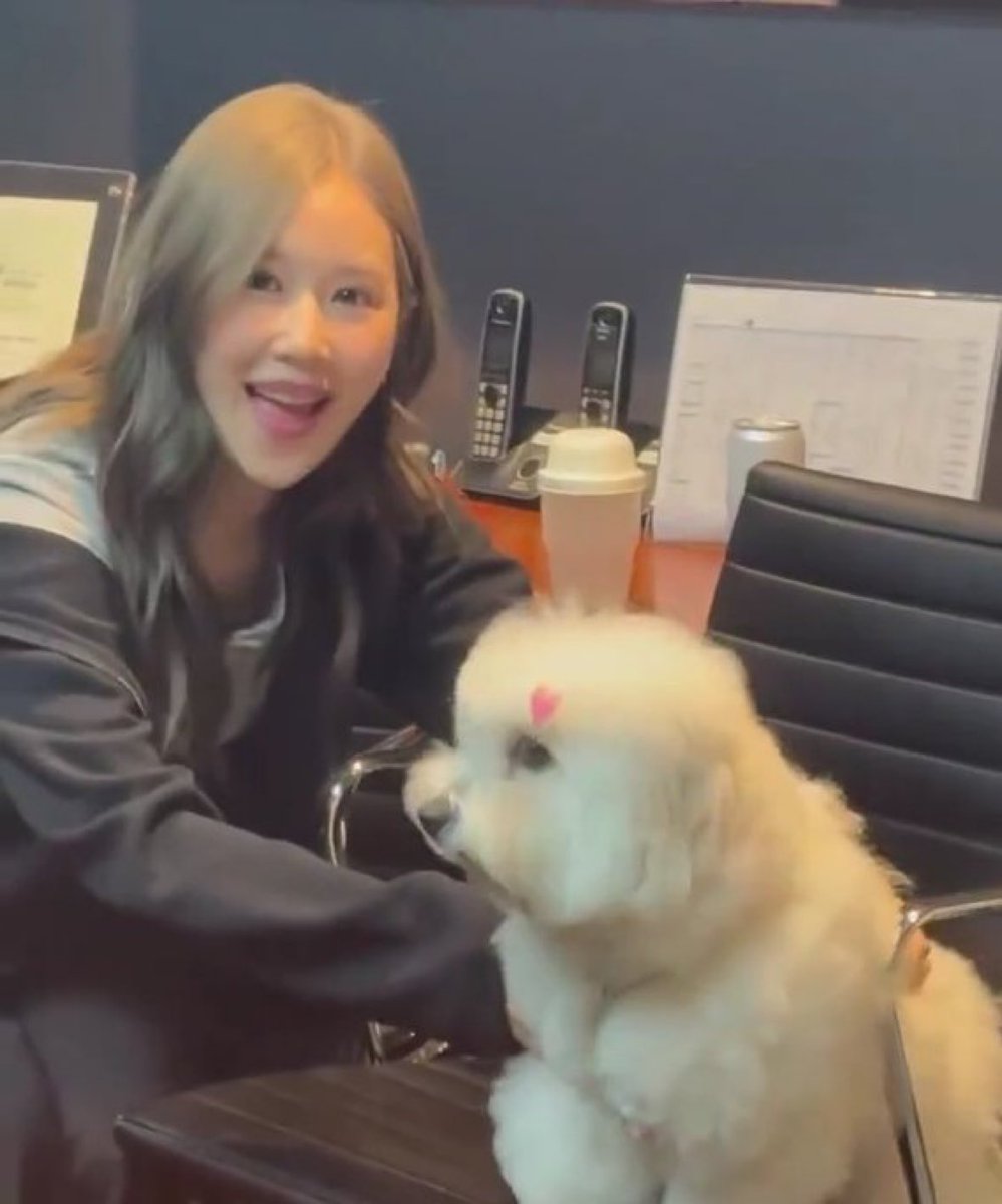 Nu_su 💙🍹 (Real Me)🏳️‍🌈 tweet media