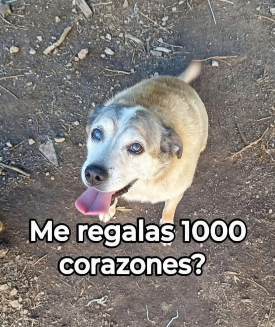 Pa Cas🤜🤛 tweet media