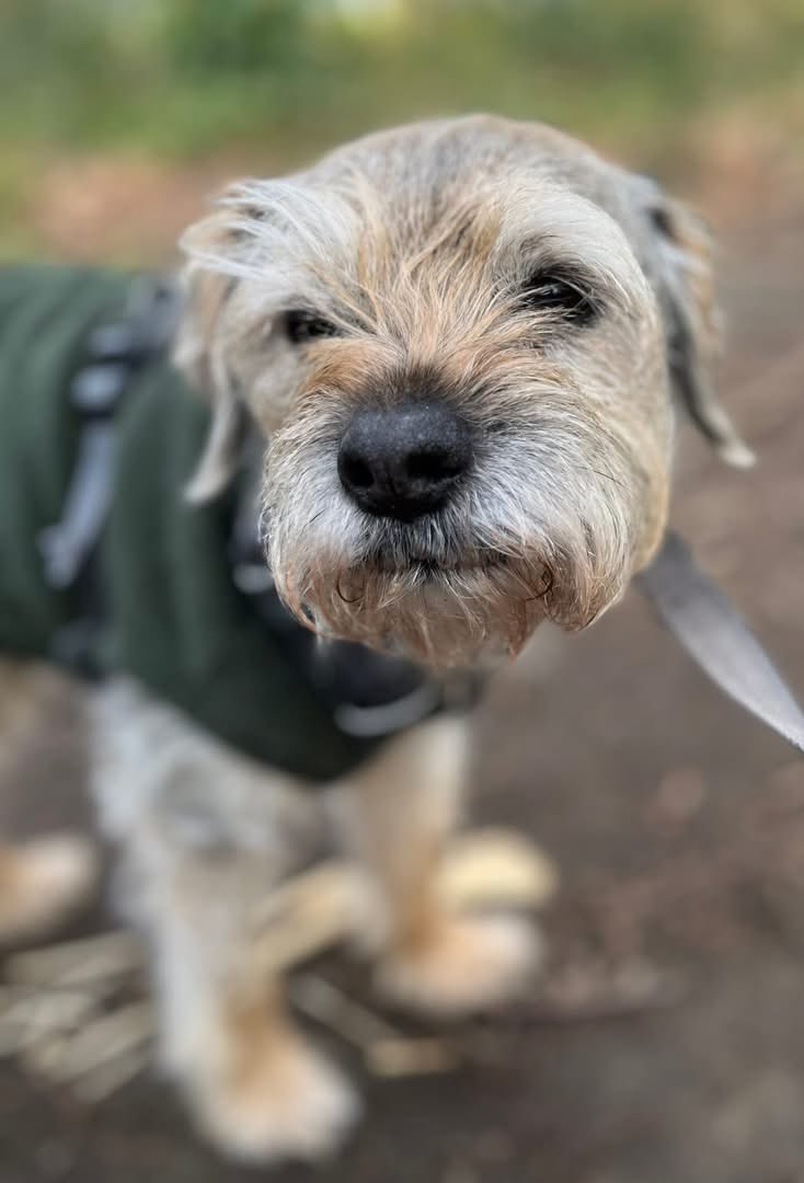 ๐Mario BTโs M tweet media