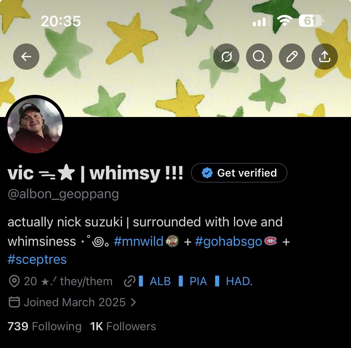 vic ᯓ★ | whimsy !!! tweet media