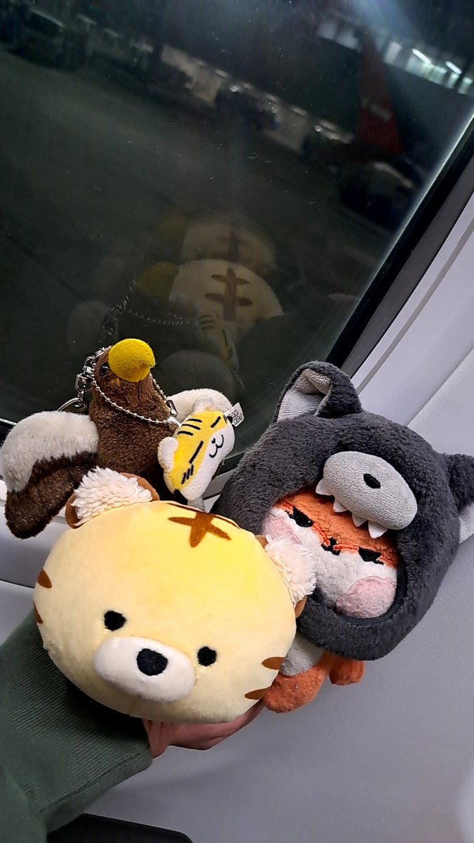 ちたま🐅🌸🌍️🥚 tweet media