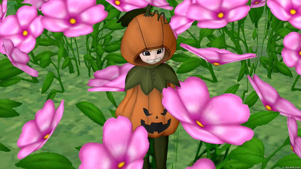 ぷりん🍮ぷりん tweet media