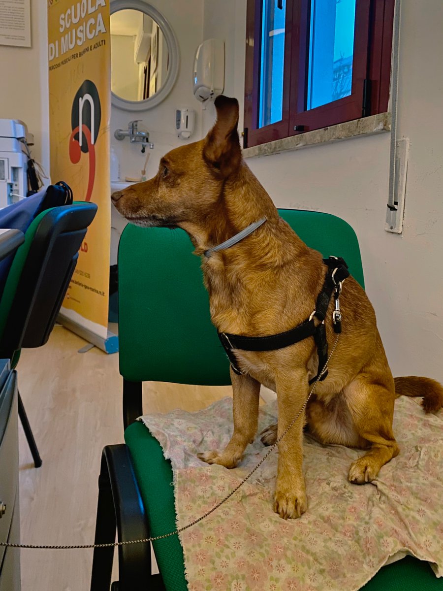 silvia 🫧 tweet media