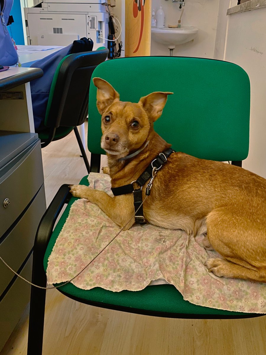 silvia 🫧 tweet media