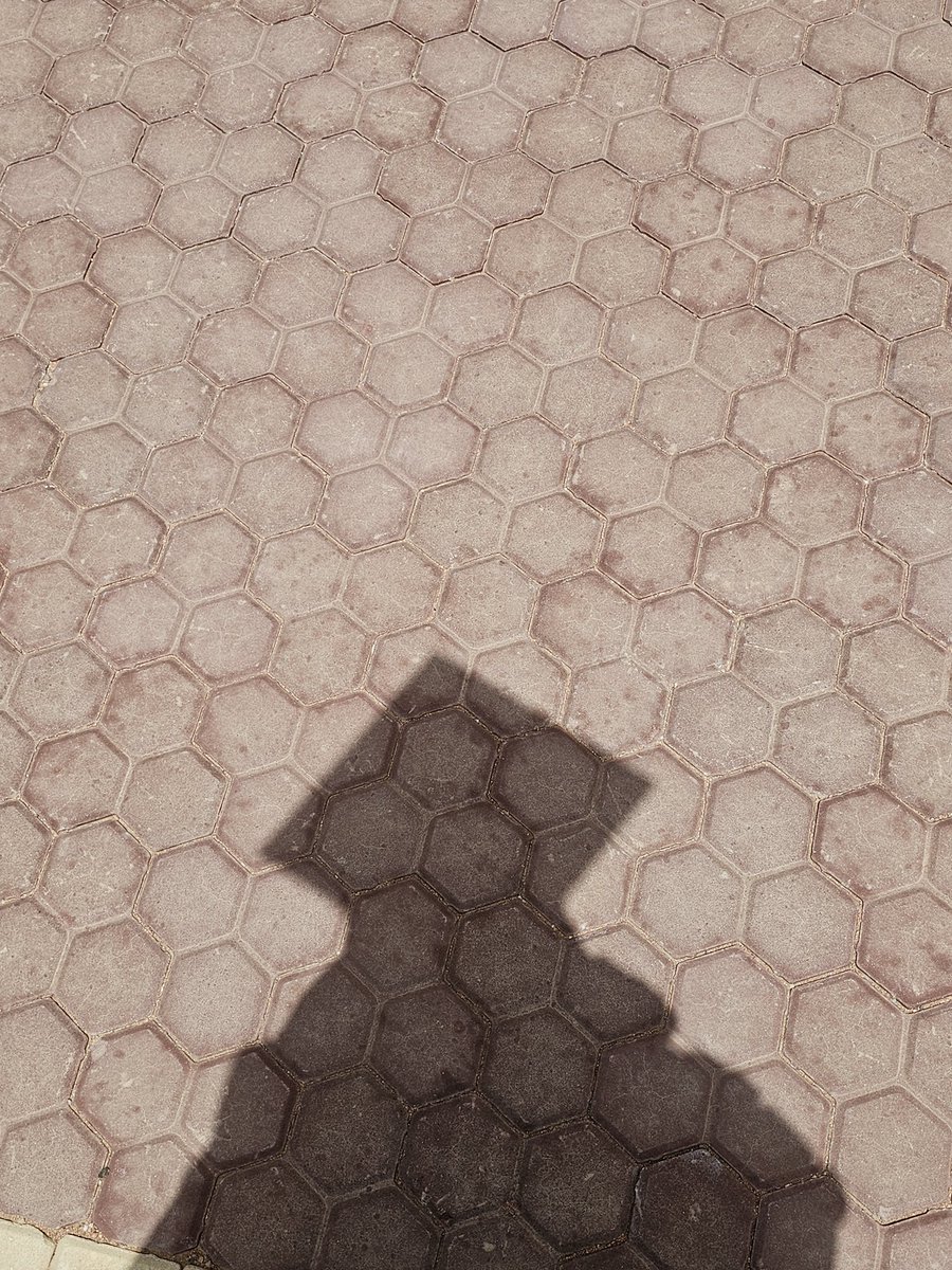 الكل tweet media