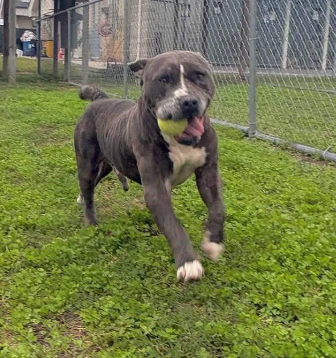 Lisa Brabson. tweet media