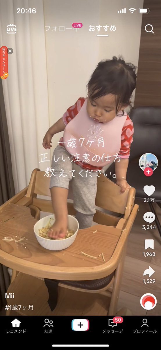 ネットのホンモノ図鑑 tweet media