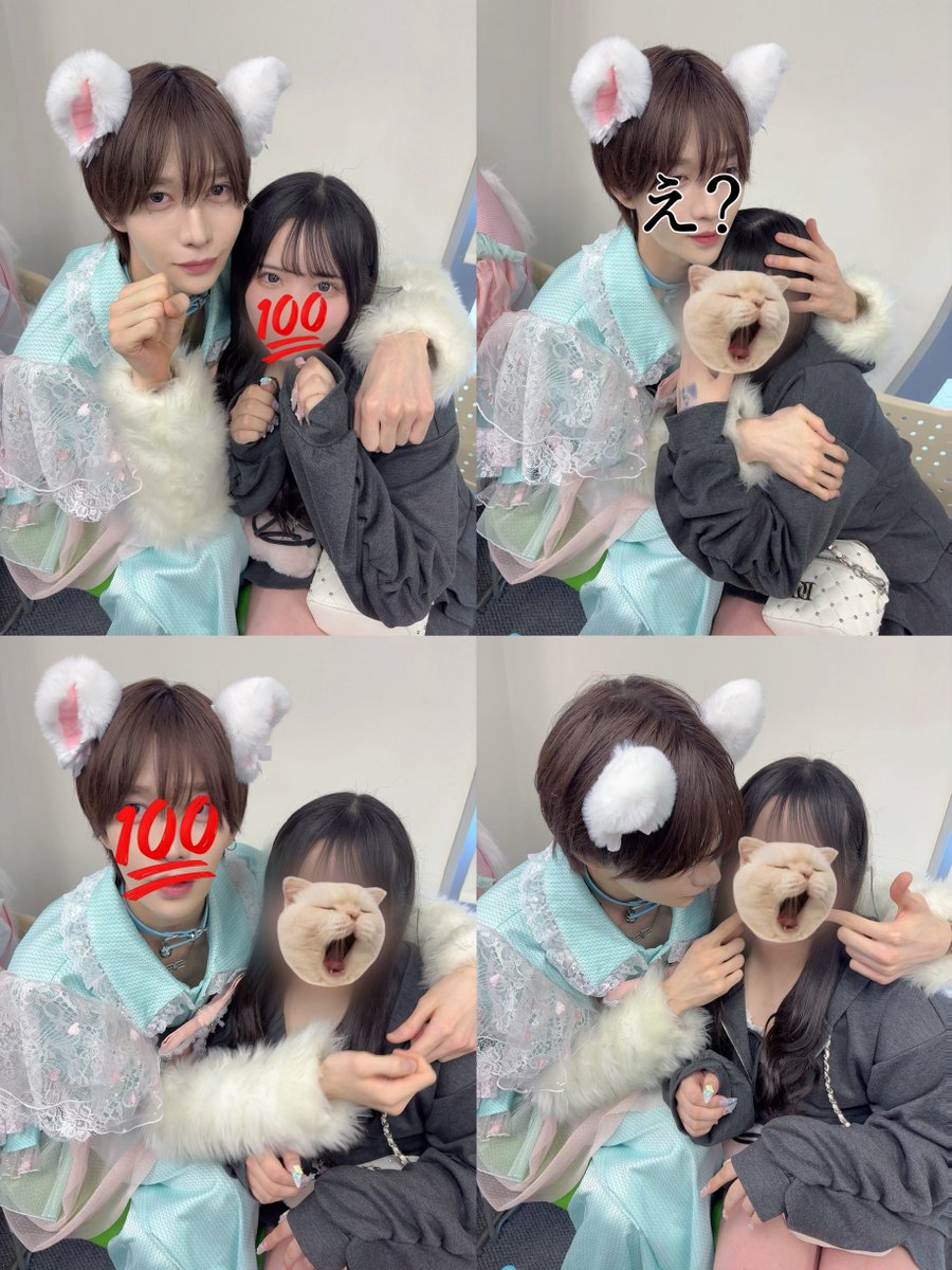 なちゃん🐈🐾 tweet media