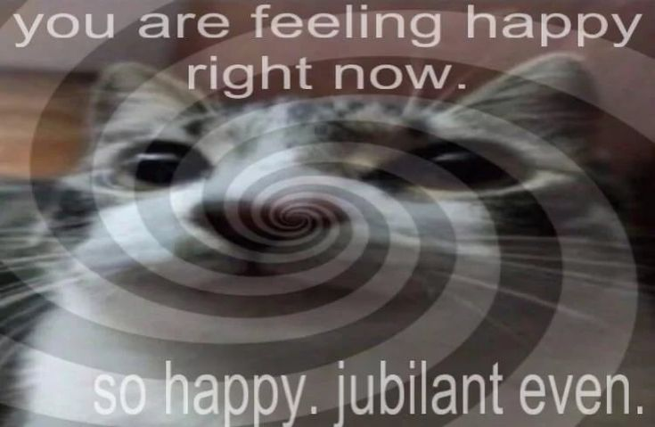 ella🌸 tweet media