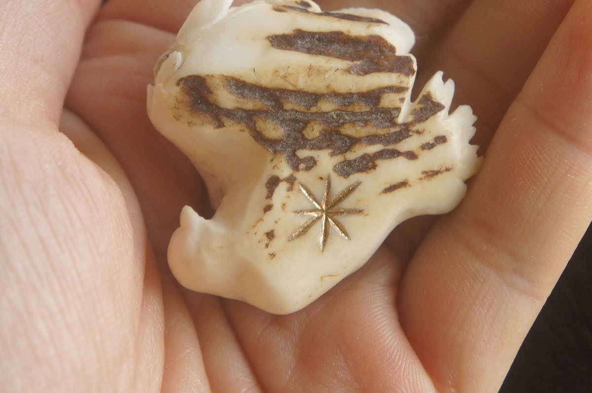 deer bone hai tweet media