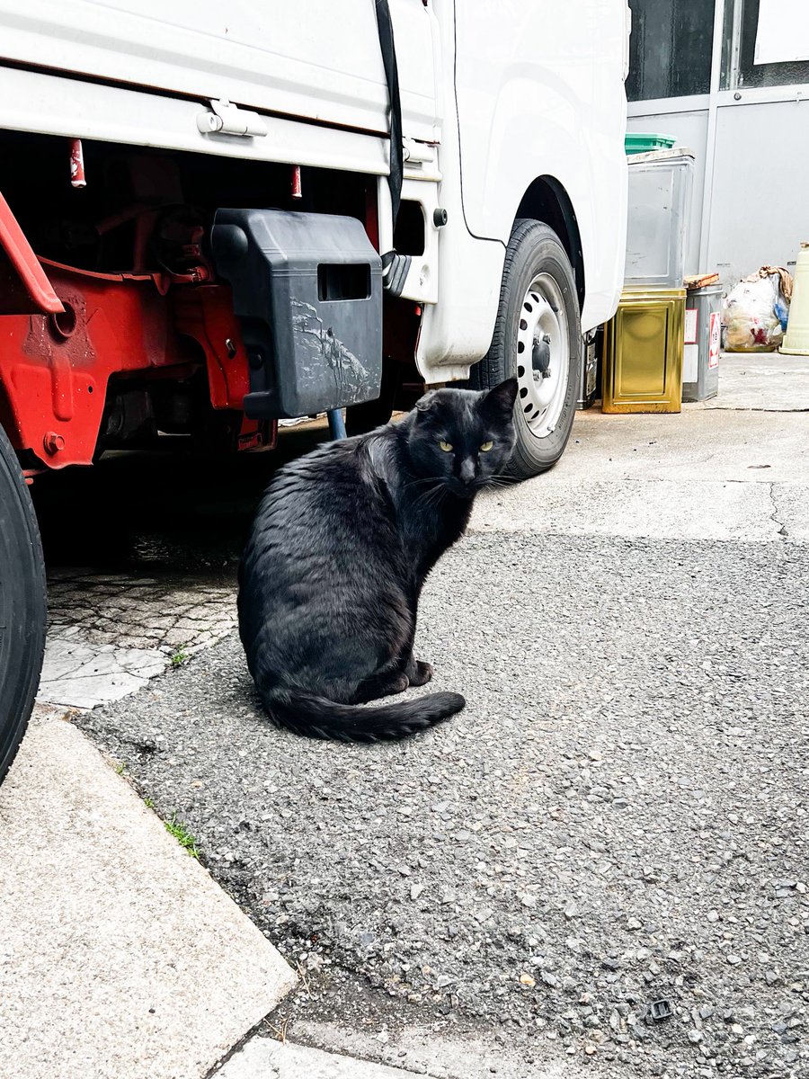 Maki Takano📷 tweet media