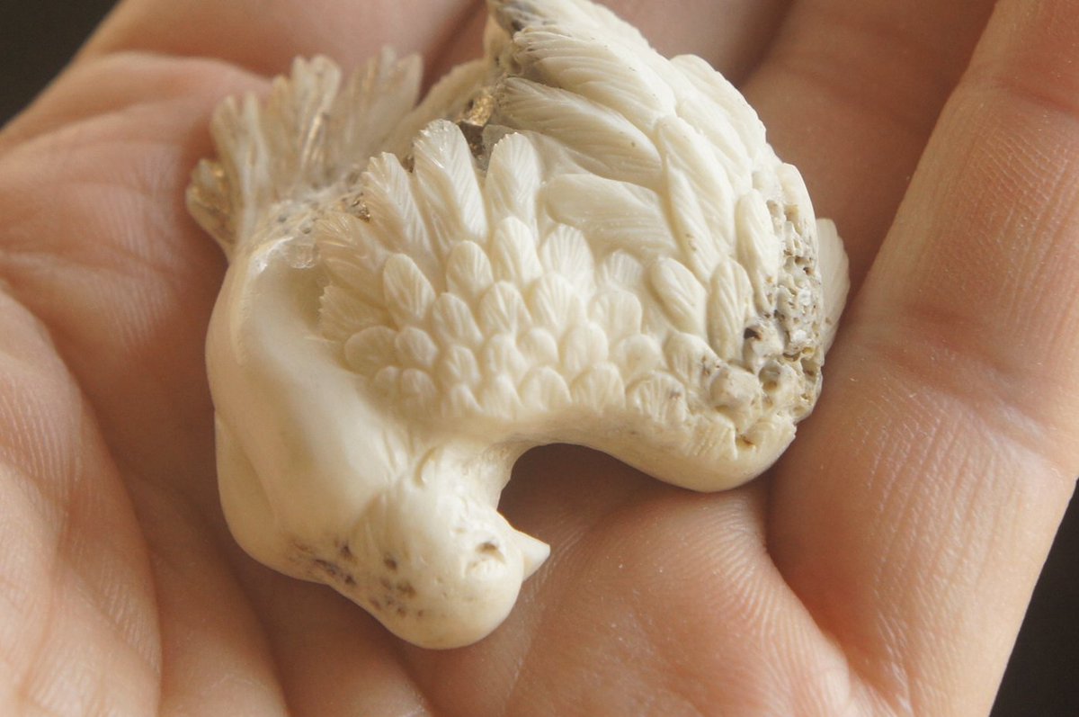 deer bone hai tweet media