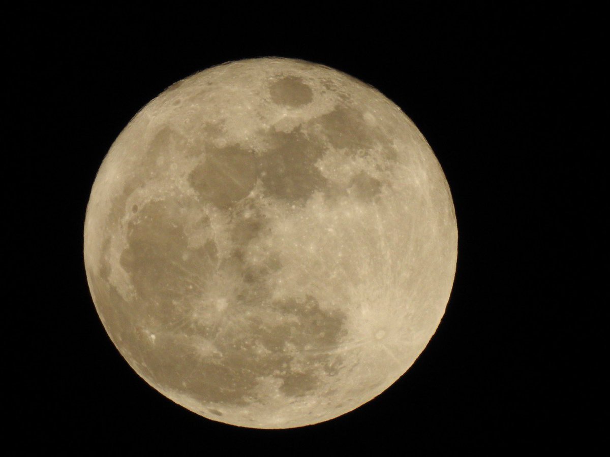 あやっぺ tweet media