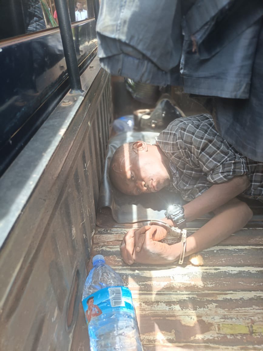 ChimpReports tweet media