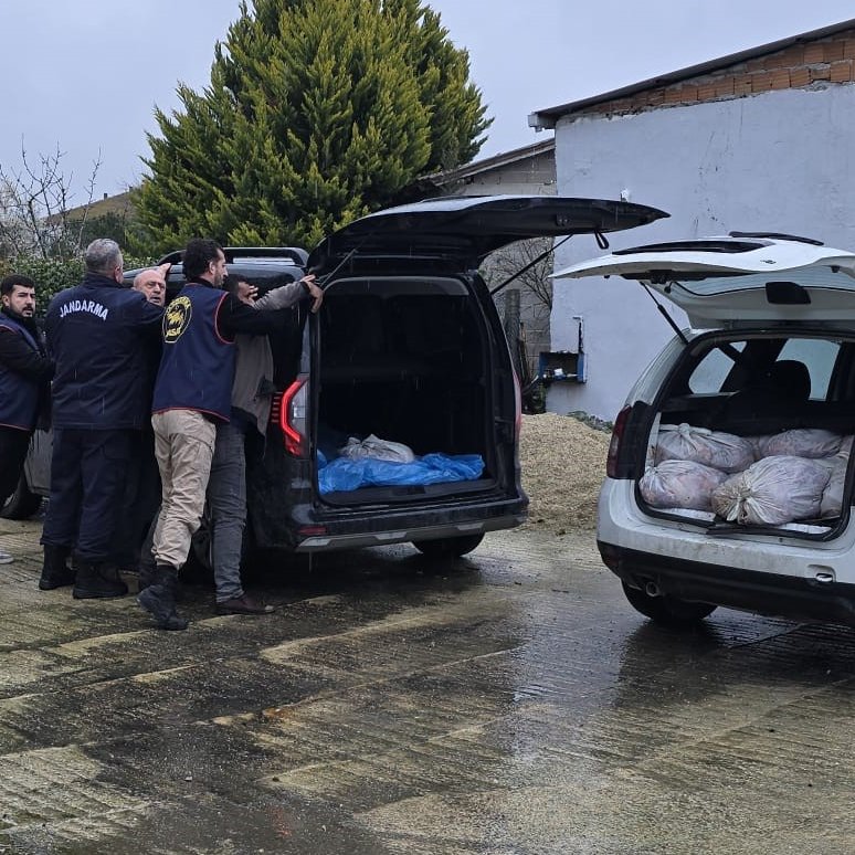 Boşuna Tıklama tweet media