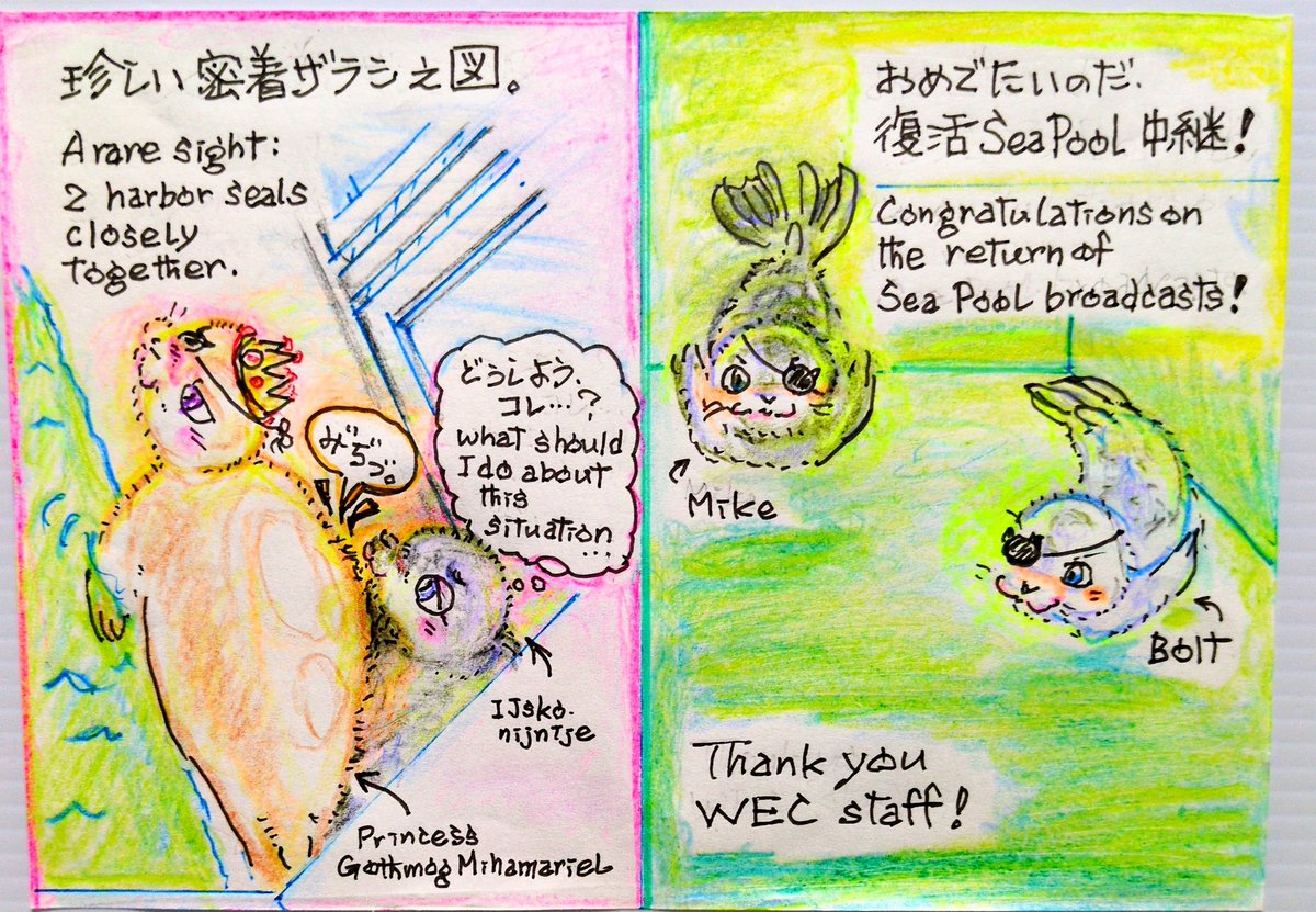 しかたり/Shikatari tweet media