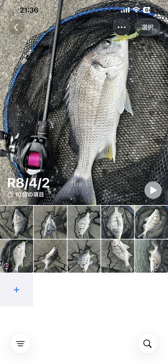 まる🐟 tweet media