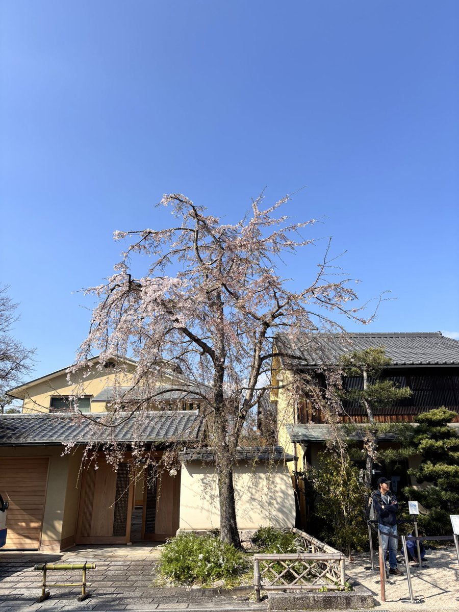 _sharp_song's tweet photo. 今日は人生ではじめて、電動自転車にのりました。ほぼ漕いでいないのに、スイスイ。驚きました。 https://t.co/wu4217Cn2d