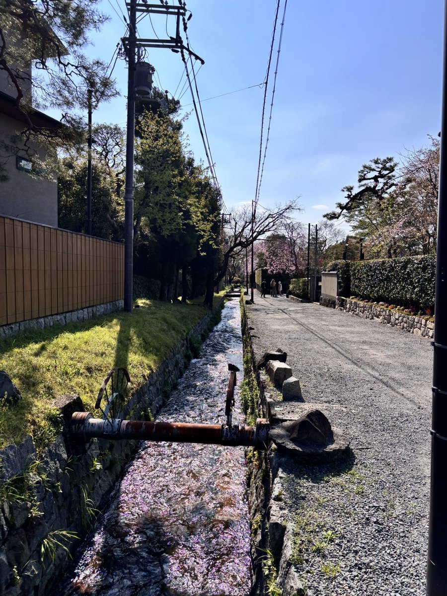 _sharp_song's tweet photo. 今日は人生ではじめて、電動自転車にのりました。ほぼ漕いでいないのに、スイスイ。驚きました。 https://t.co/wu4217Cn2d