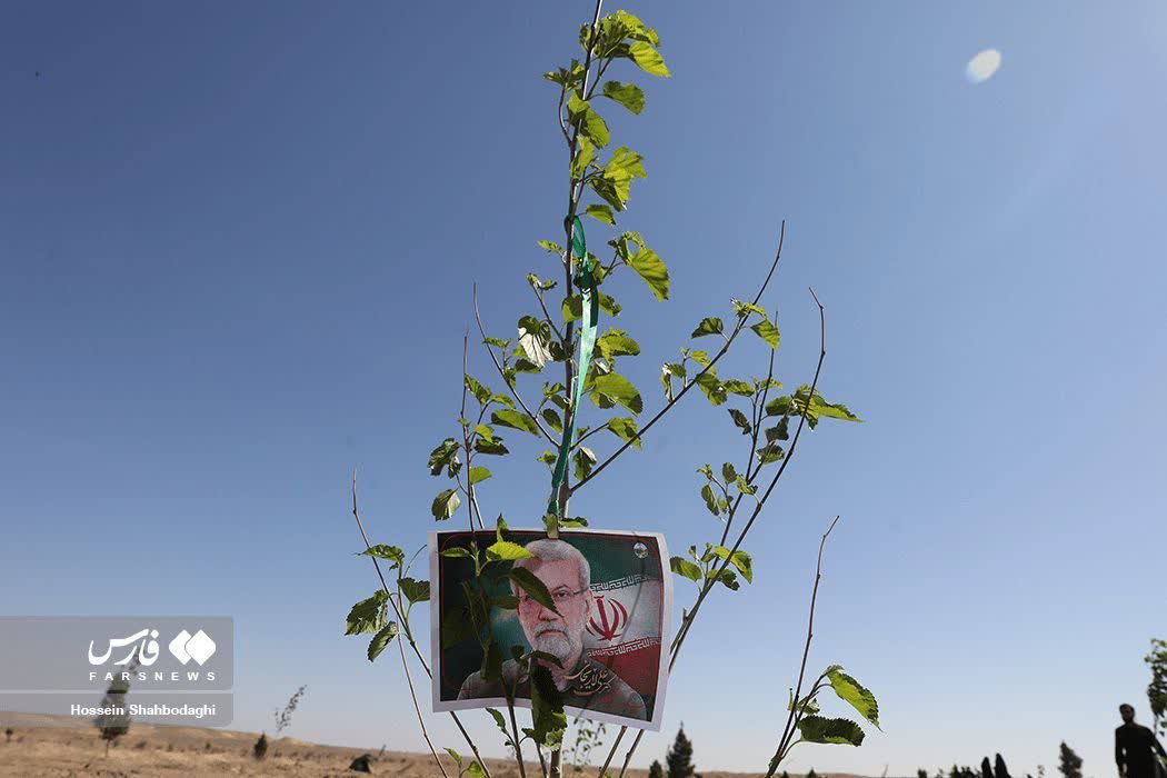 ساحل tweet media