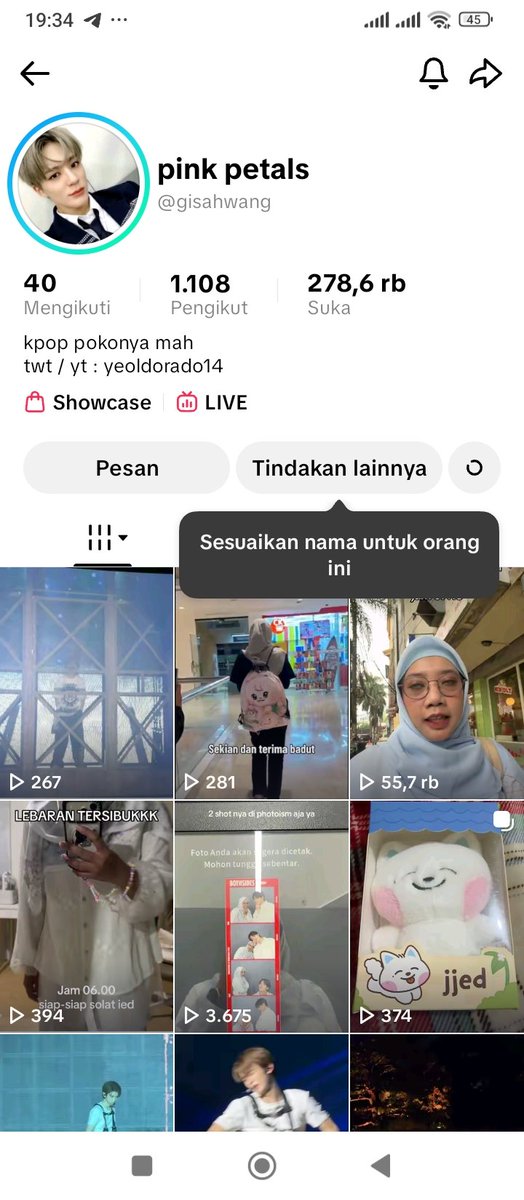 stefff🐬 tweet media