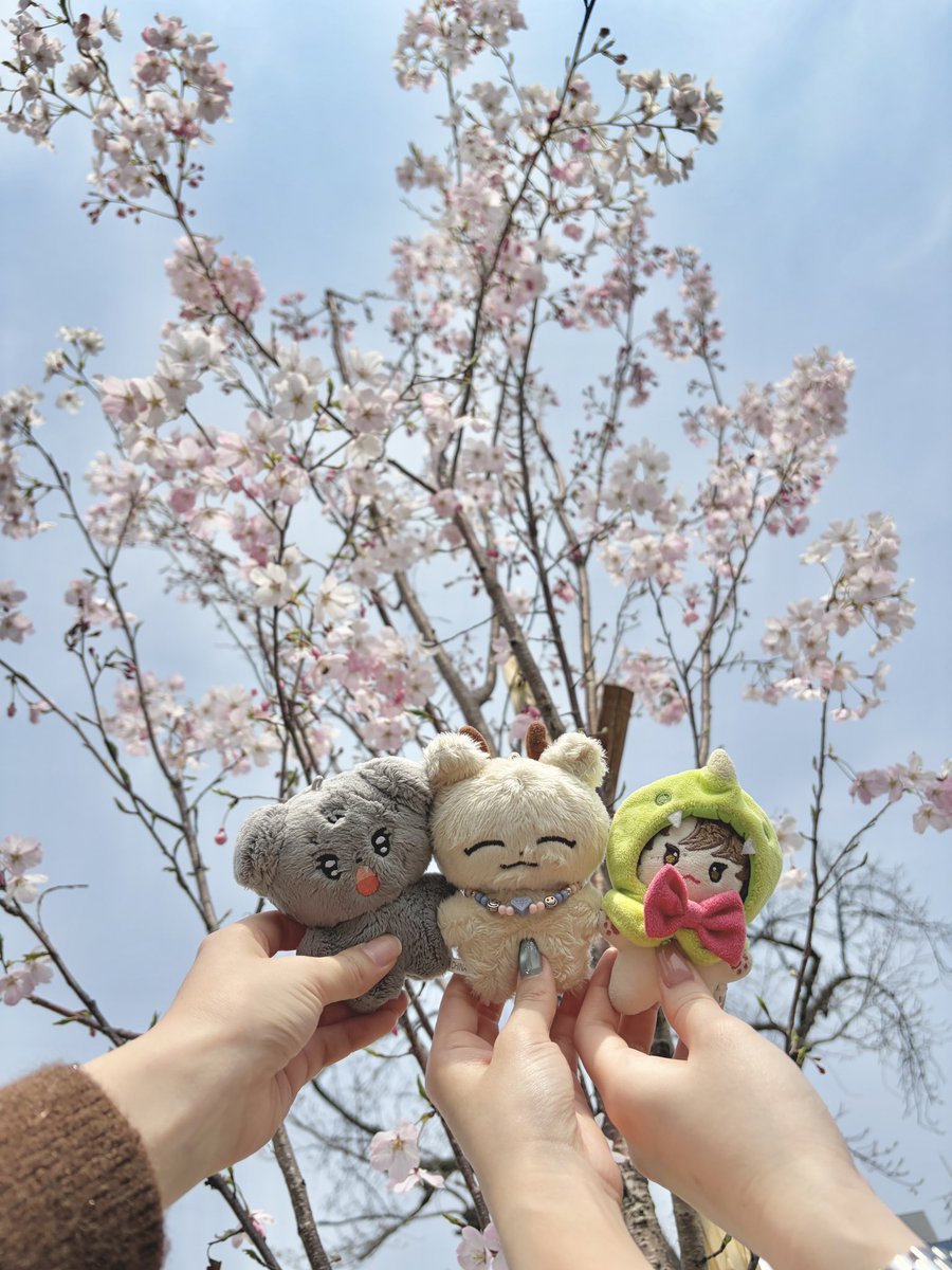 𝙢𝙞𝙨𝙤 tweet media