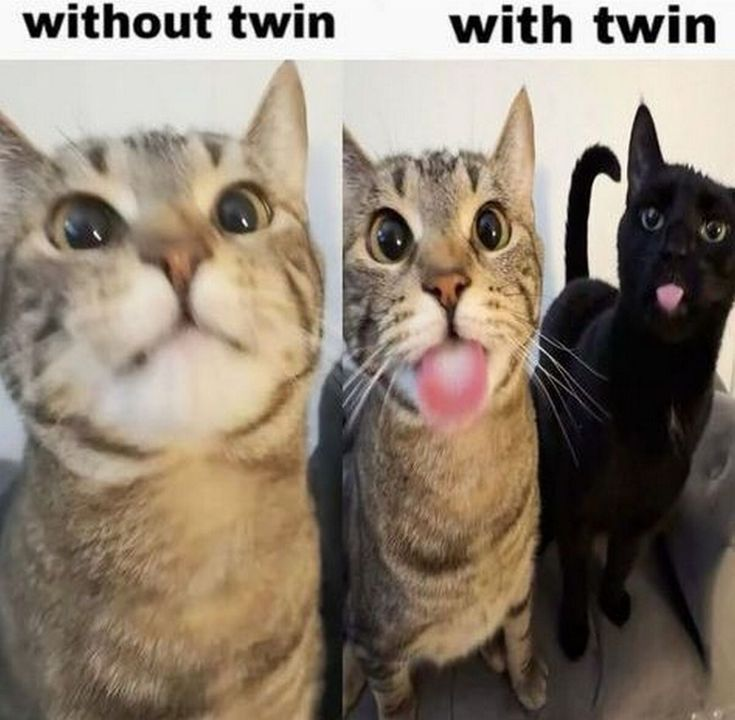 ella🌸 tweet media