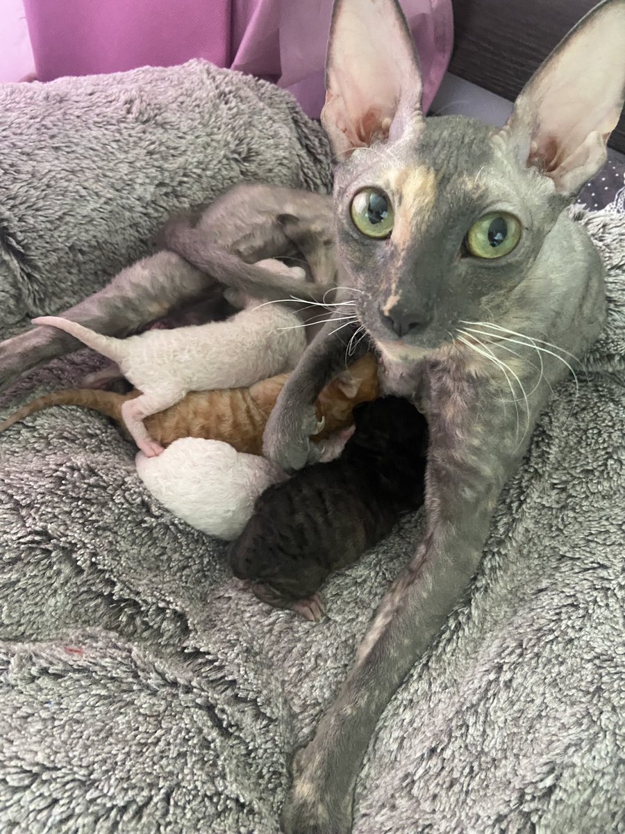 Всякое бывало tweet media