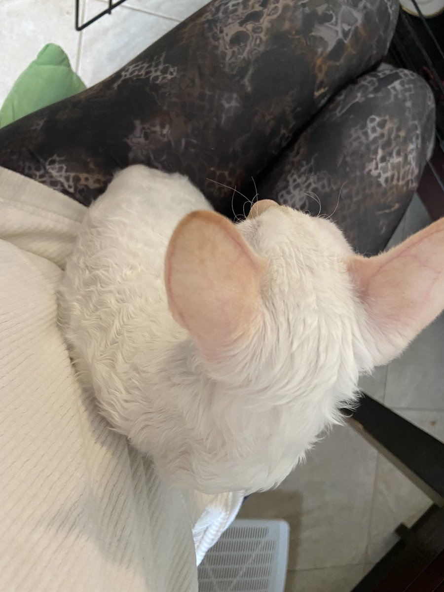 Всякое бывало tweet media