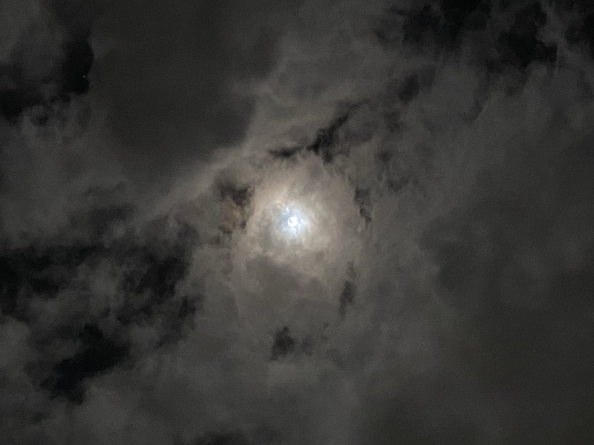 Nadia 🌙 tweet media