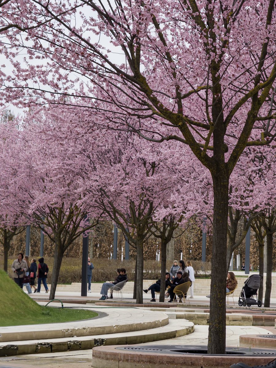 Андрей tweet media