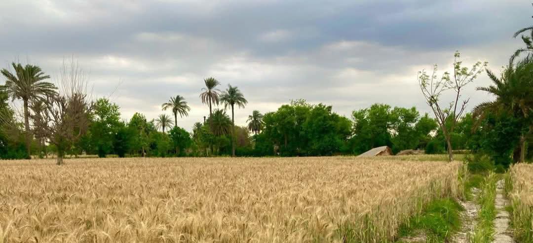 💎SANA💎 tweet media