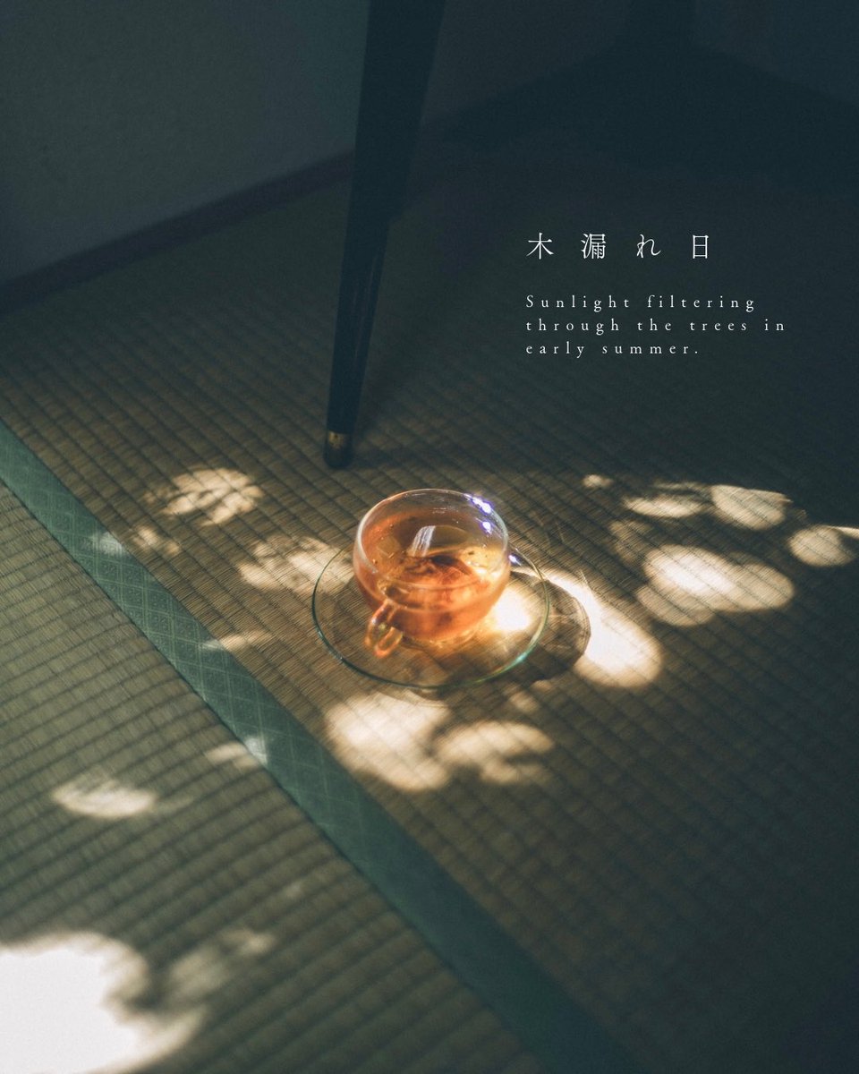 丹子tanco tweet media