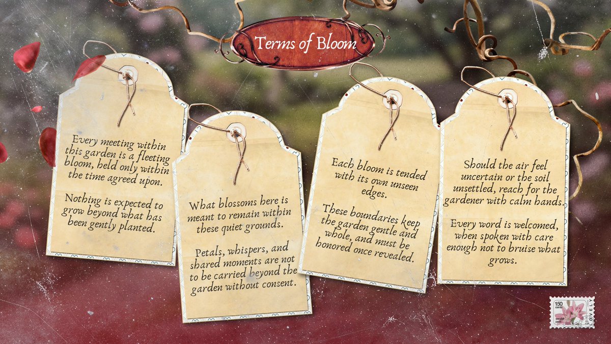 Nocturne Opera. tweet media