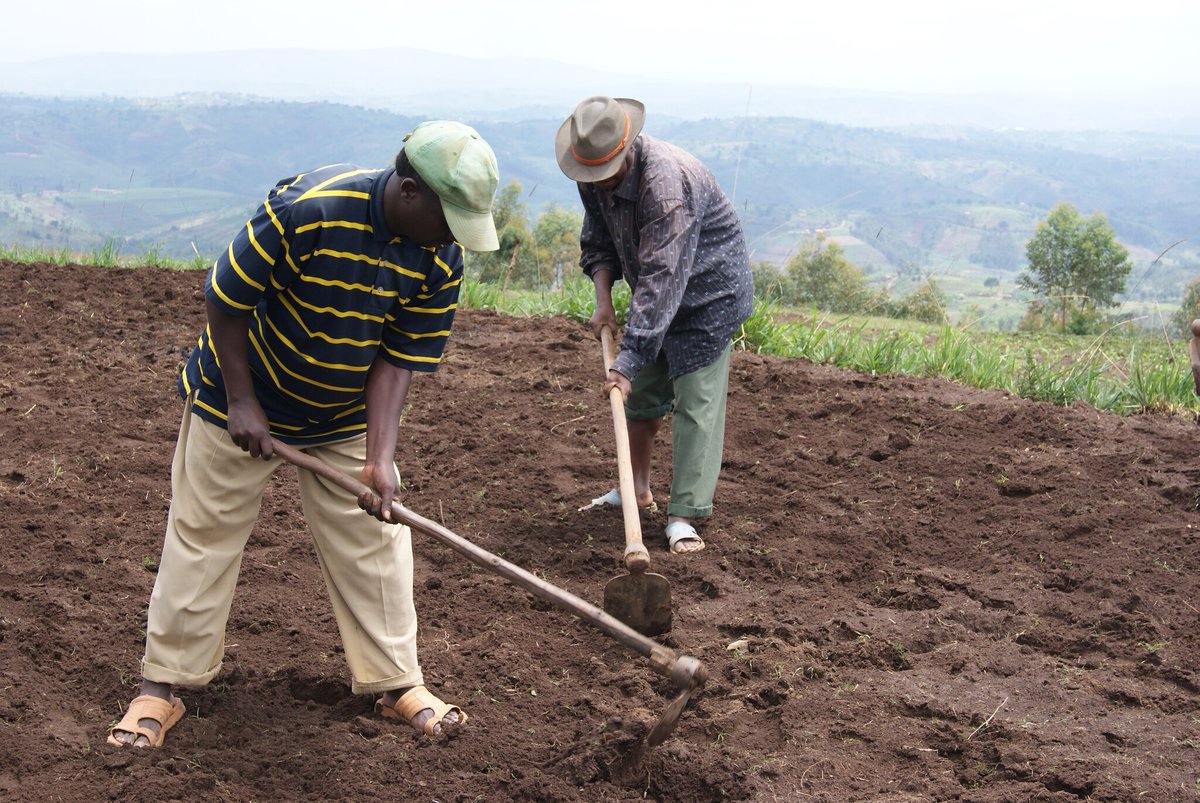 Farming First tweet media