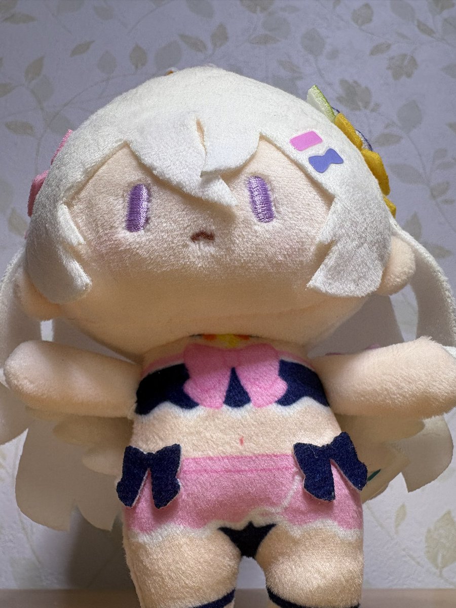 ほんきょー tweet media