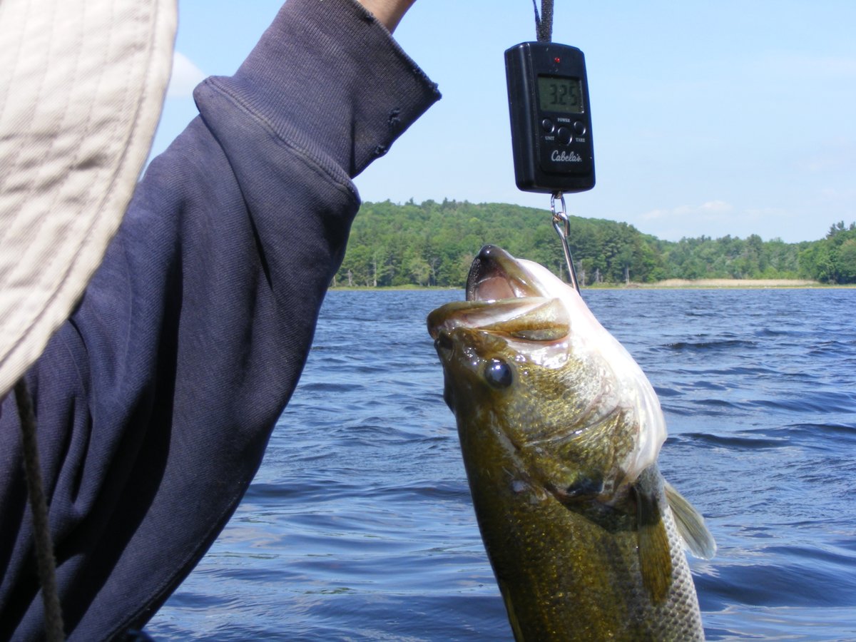 R C Taylor tweet media