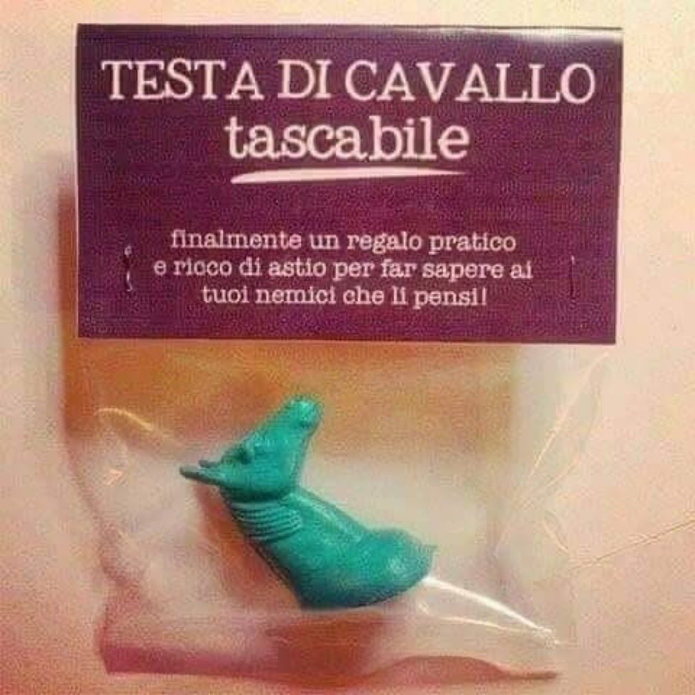 🏴‍☠️eccentrico vintage naïf 🏴‍☠️ tweet media