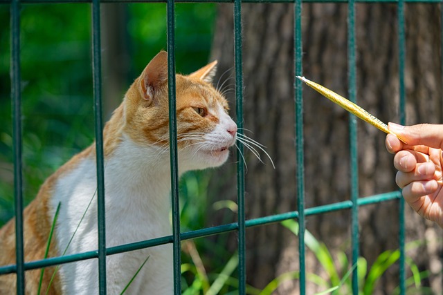 Angela Devine tweet media