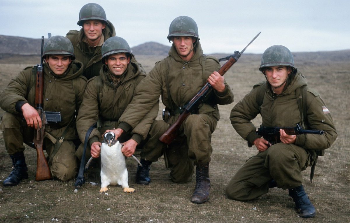 AMOR VENCE ODIO tweet media