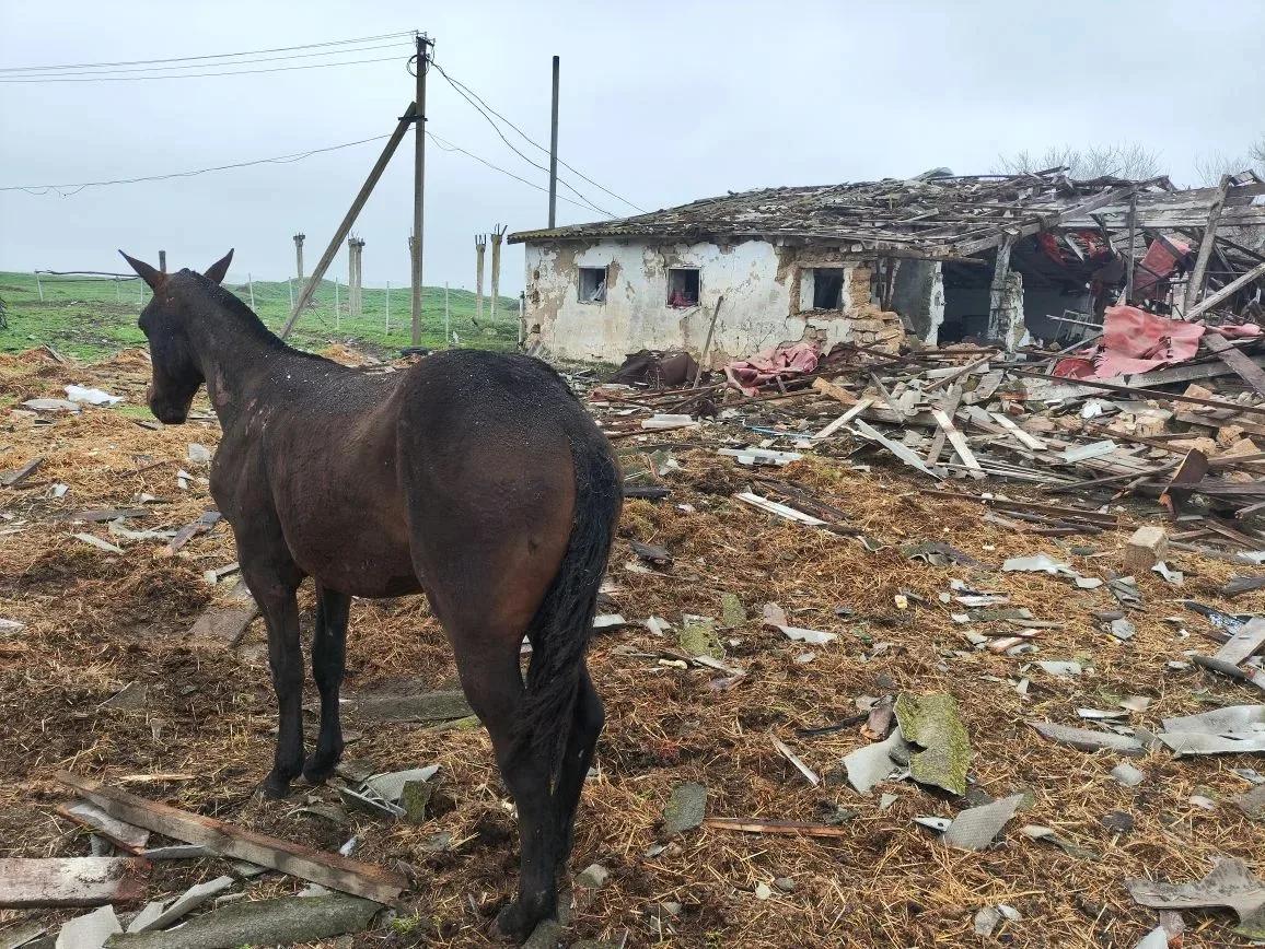 Ing. Honza 🇨🇿👍🇺🇦👎 tweet media